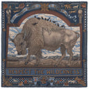 Sabina Savage Secrets of The Bison Wool Silk Shawl 135 – Chambray/Stone